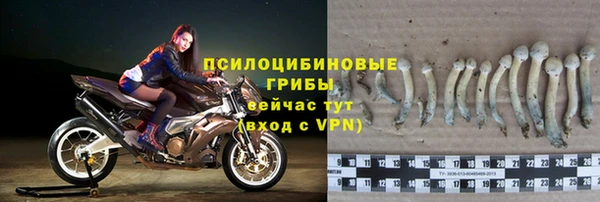 СК Остров