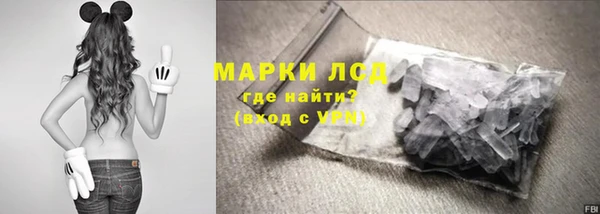 стафф Осташков