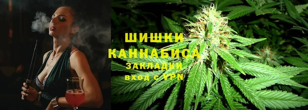 стафф Осташков