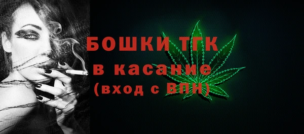 стафф Осташков