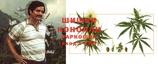 стафф Осташков